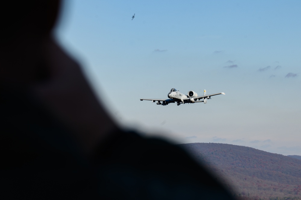 Estonian Air Force Commander Observes MDNG A-10