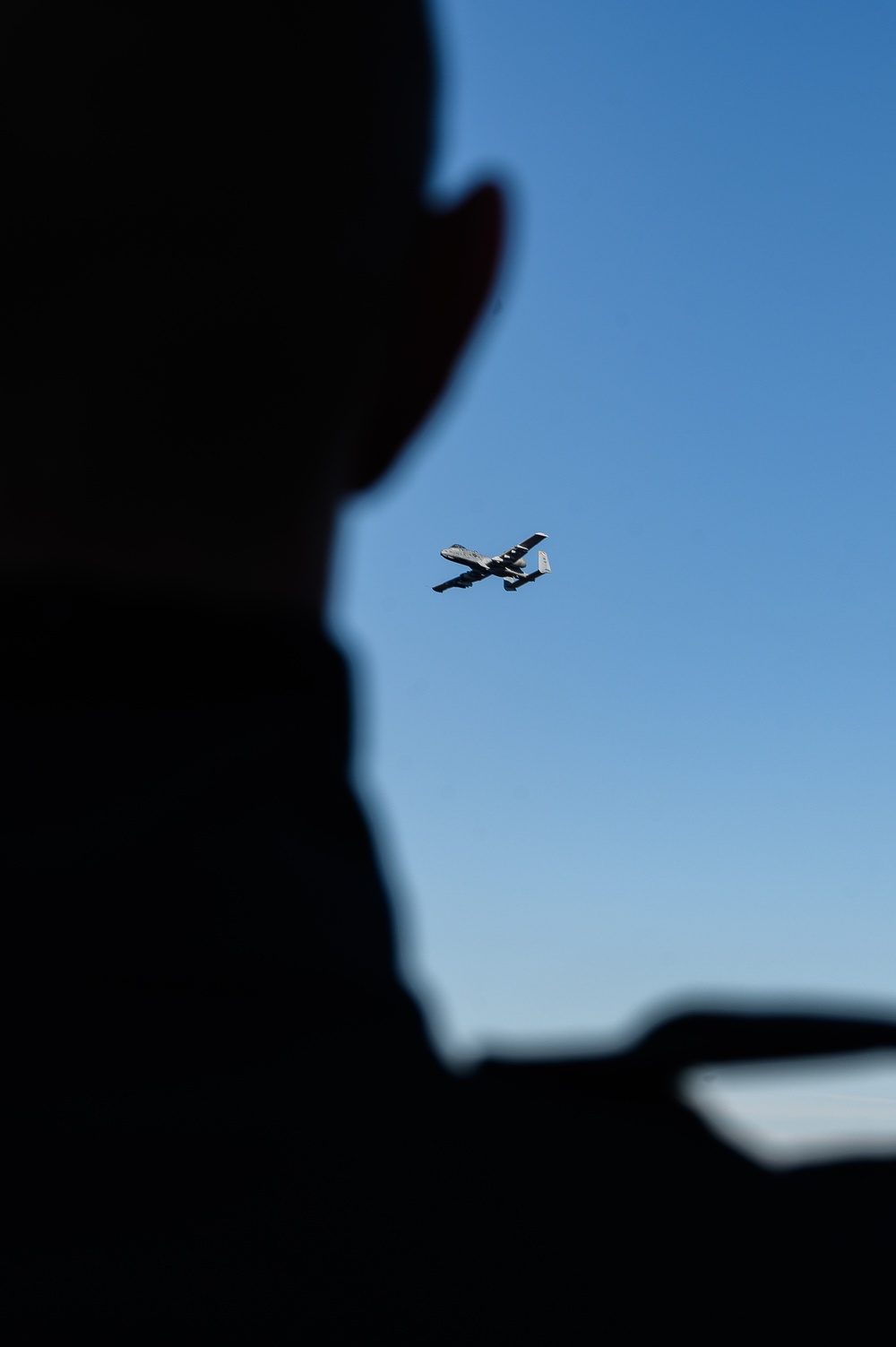 Estonian Air Force Commander Observes MDNG A-10