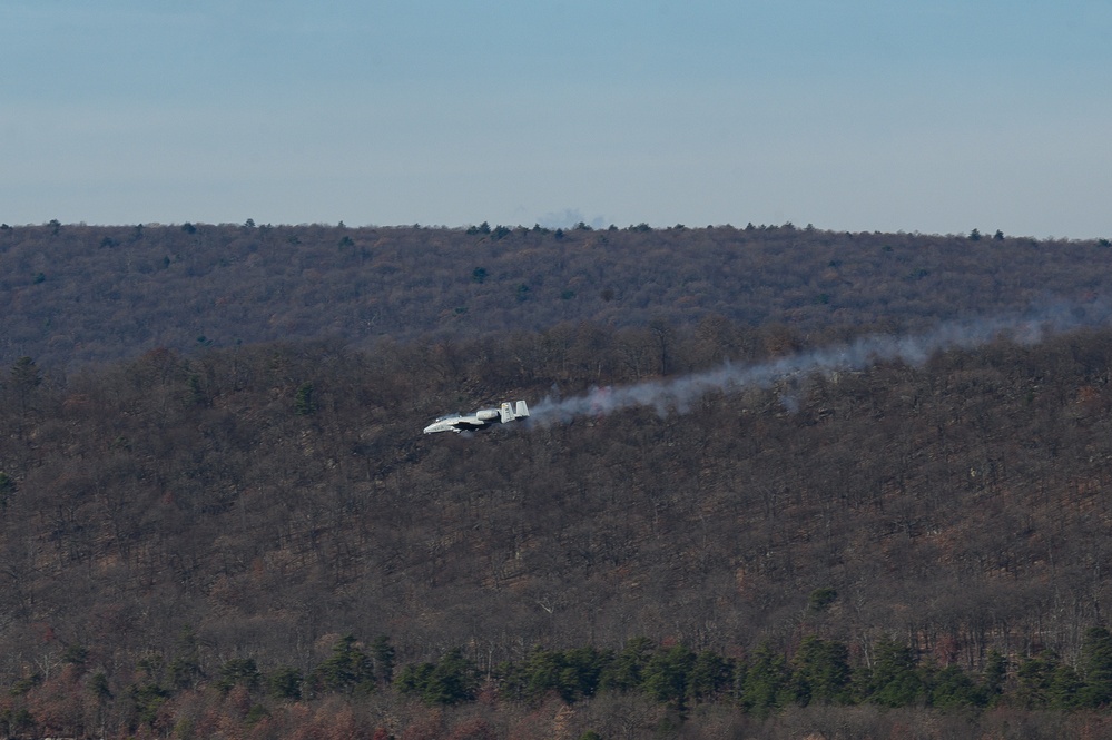 Estonian Air Force Commander Observes MDNG A-10