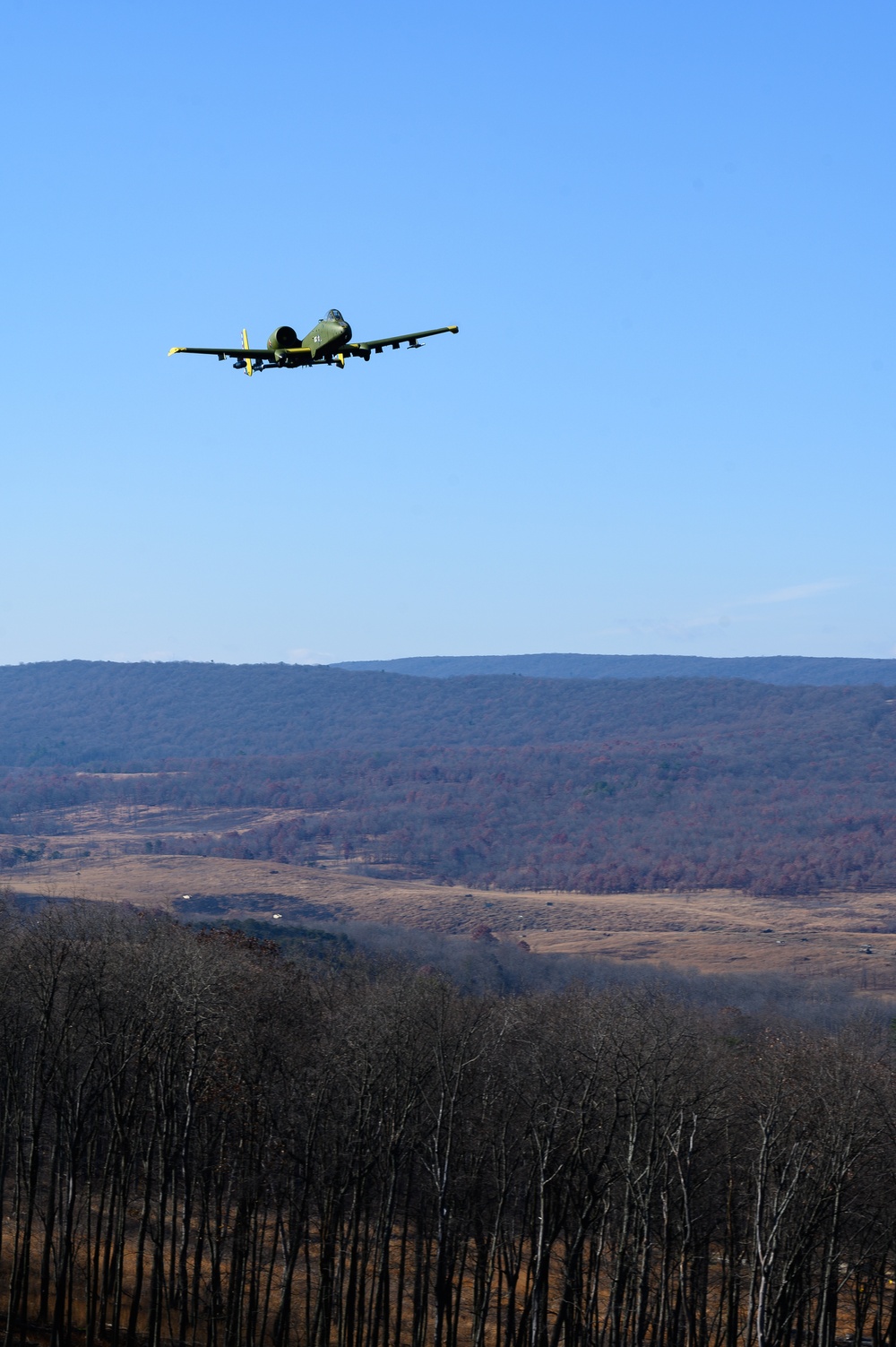 Estonian Air Force Commander Observes MDNG A-10