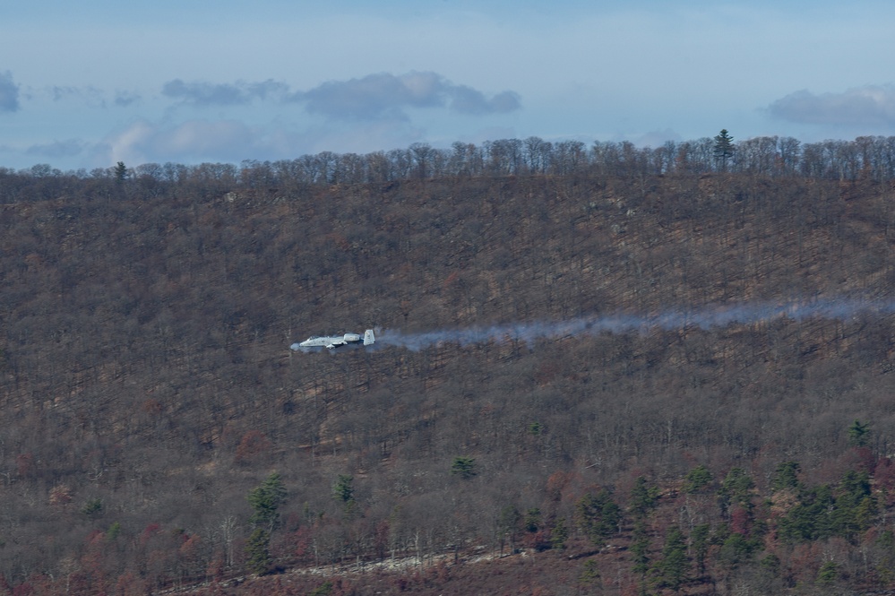 Estonian Air Force Commander Observes MDNG A-10