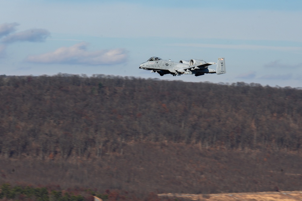 Estonian Air Force Commander Observes MDNG A-10