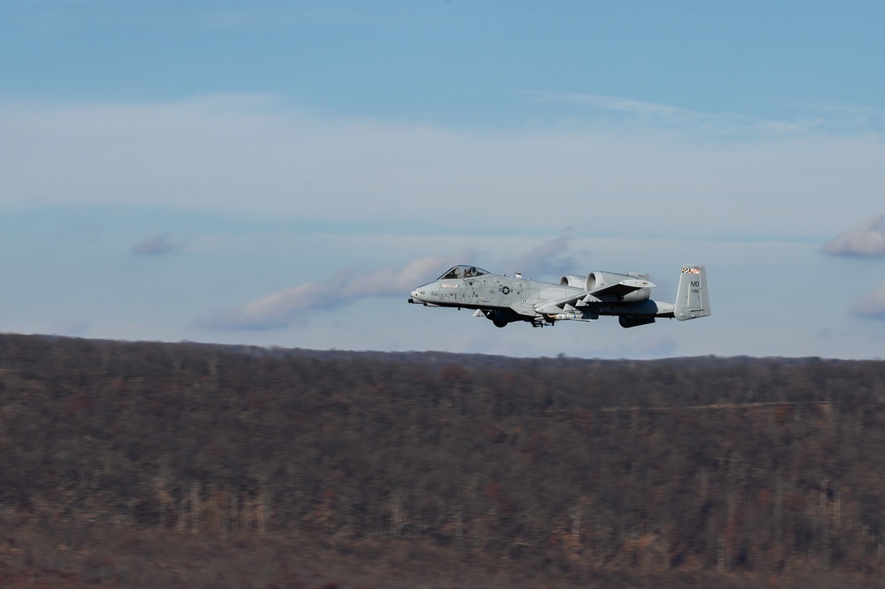 Estonian Air Force Commander Observes MDNG A-10