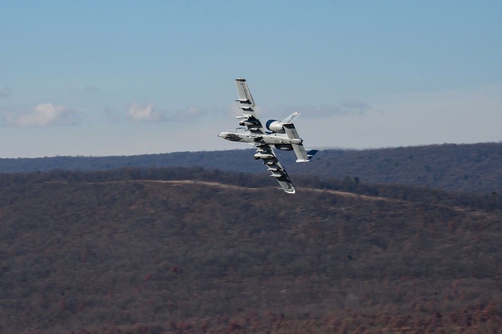 Estonian Air Force Commander Observes MDNG A-10