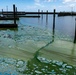 April 2021 Algal Bloom Outbreak