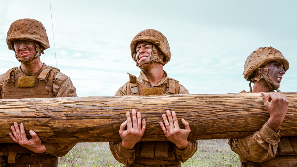 Alpha Company Crucible