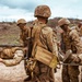 Alpha Company Crucible