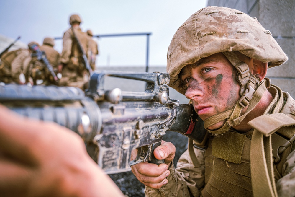 Alpha Company Crucible