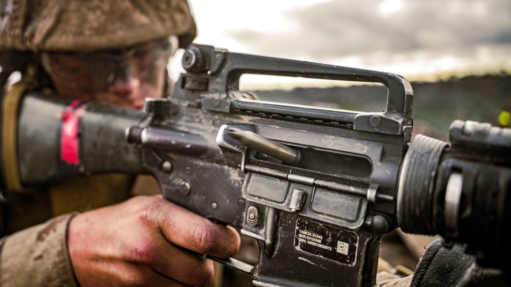 Alpha Company Crucible