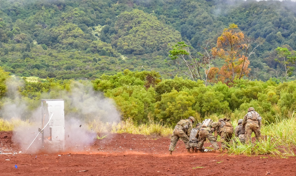 HIARNG Engineers conduct squad level tactics and demolition missions