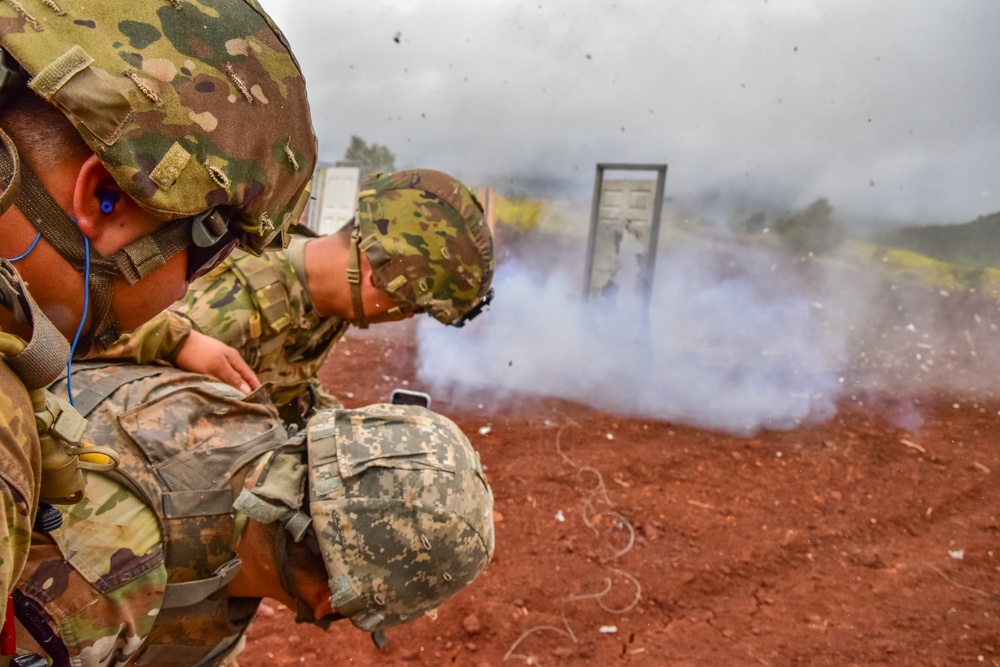 HIARNG Engineers conduct squad level tactics and demolition missions