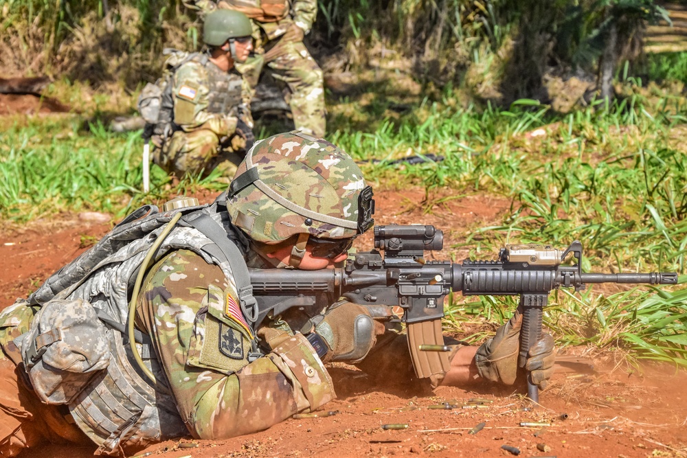 HIARNG Engineers conduct squad level tactics and demolition missions