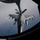 50th EARS refuels Air Force F-16 Fighting Falcons 50th EARS refuels Air Force F-16 Fighting Falcons