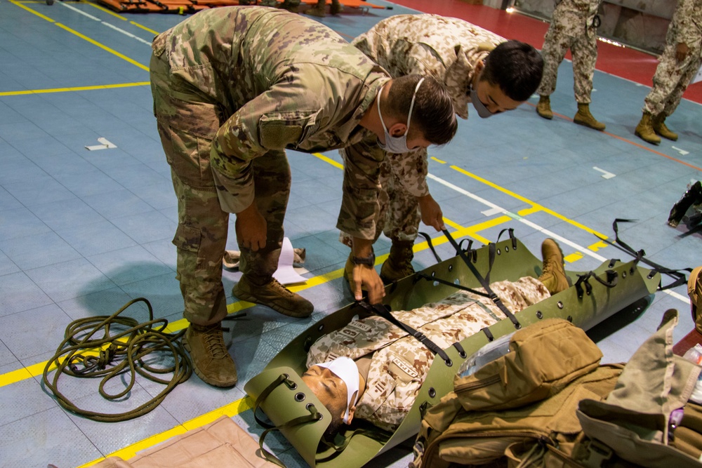 U.S., Japanese share medical capabilities