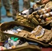 U.S., Japanese share medical capabilities