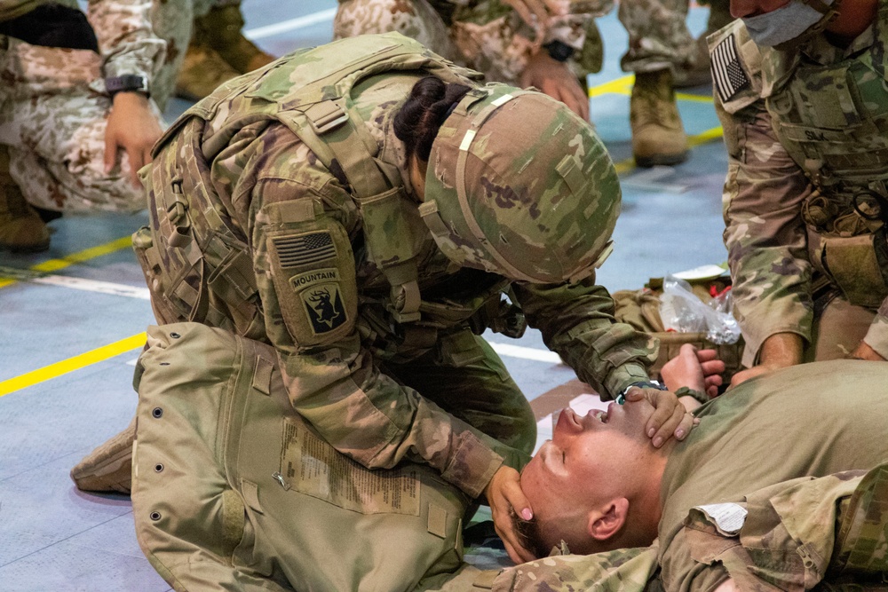 U.S., Japanese share medical capabilities