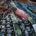 Destroying explosives, improving interoperability