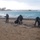 The Harry S. Truman Carrier Strike Group is on a scheduled deployment in the U.S. Sixth Fleet area of operations in support of naval operations to maintain maritime stability and security. Several individuals are working on a sandy beach near rough surf, collecting debris or waste into large black plastic bags. At least two workers are wearing blue protective gloves, suggesting an organized cleanup or recovery operation. The weather appears overcast and windy, with choppy waves visible along the shoreline.