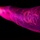 The image shows a heavily tattooed human limb, likely an arm or leg, illuminated under pink/magenta UV or colored stage lighting against a black background. The tattoos appear to be intricate floral and ornamental designs covering the entire visible surface of the limb. The dramatic lighting creates a vivid purple and magenta color palette that highlights the tattoo patterns.