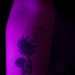 Seymour Ink Tattoo series