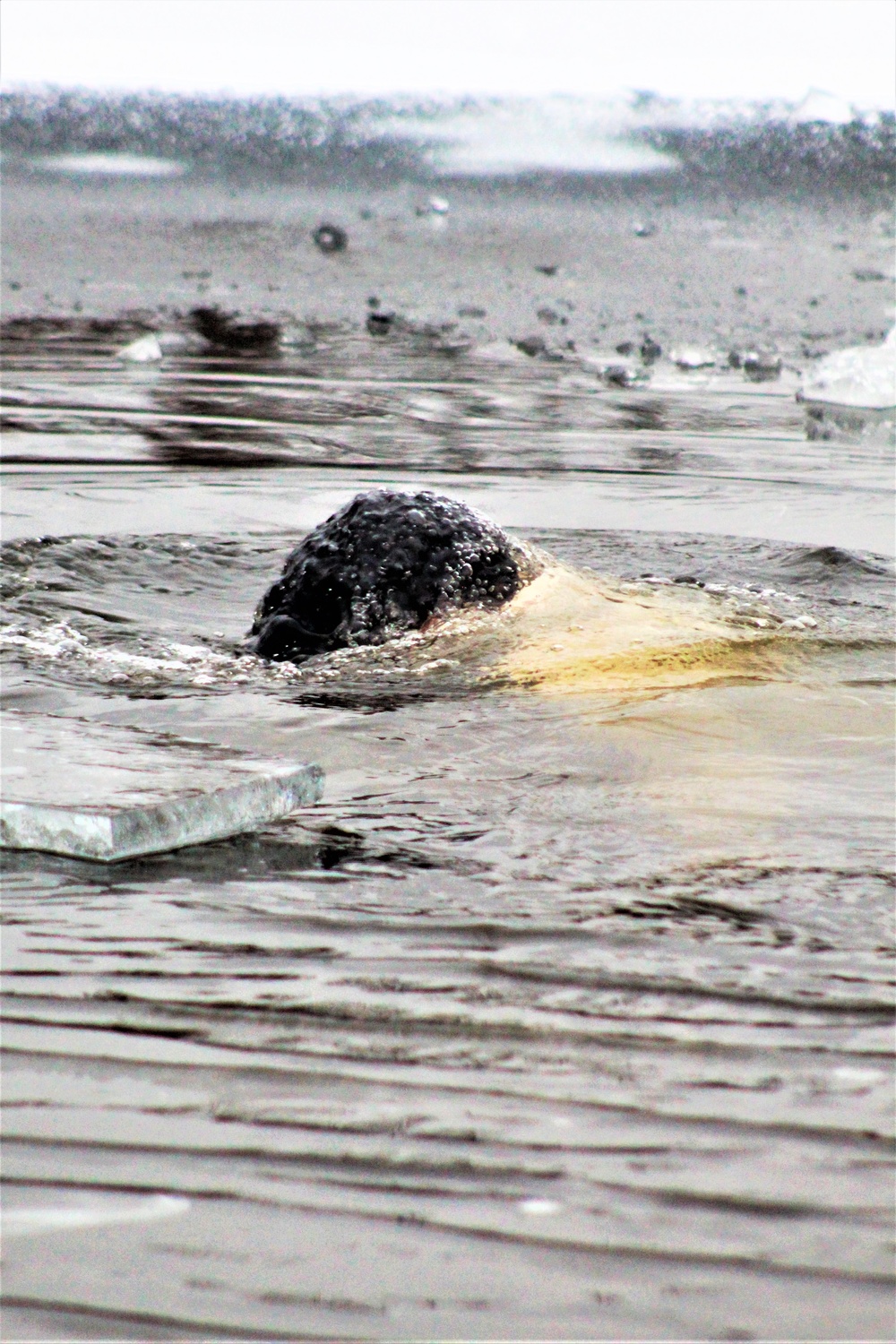 Marines jump in for cold-water immersion training at Fort McCoy