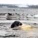 Marines jump in for cold-water immersion training at Fort McCoy