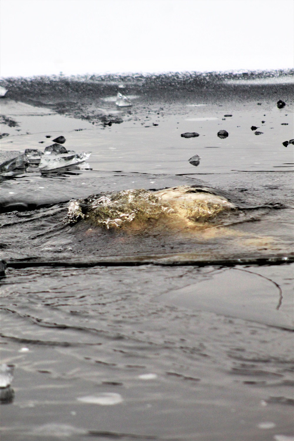 Marines jump in for cold-water immersion training at Fort McCoy