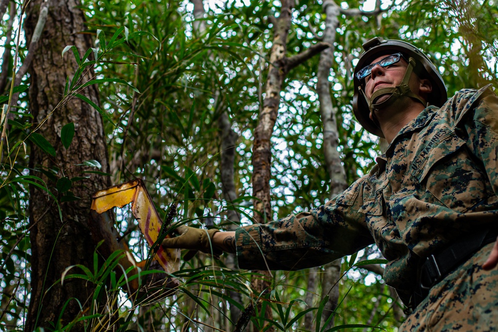 3d Marine Division Squad Competition Day 3