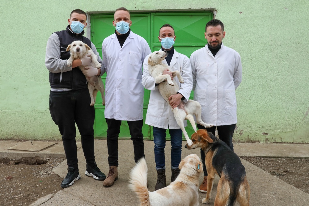 Vet in Mitrovica Work to Help Stray Dogs