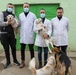 Vet in Mitrovica Work to Help Stray Dogs