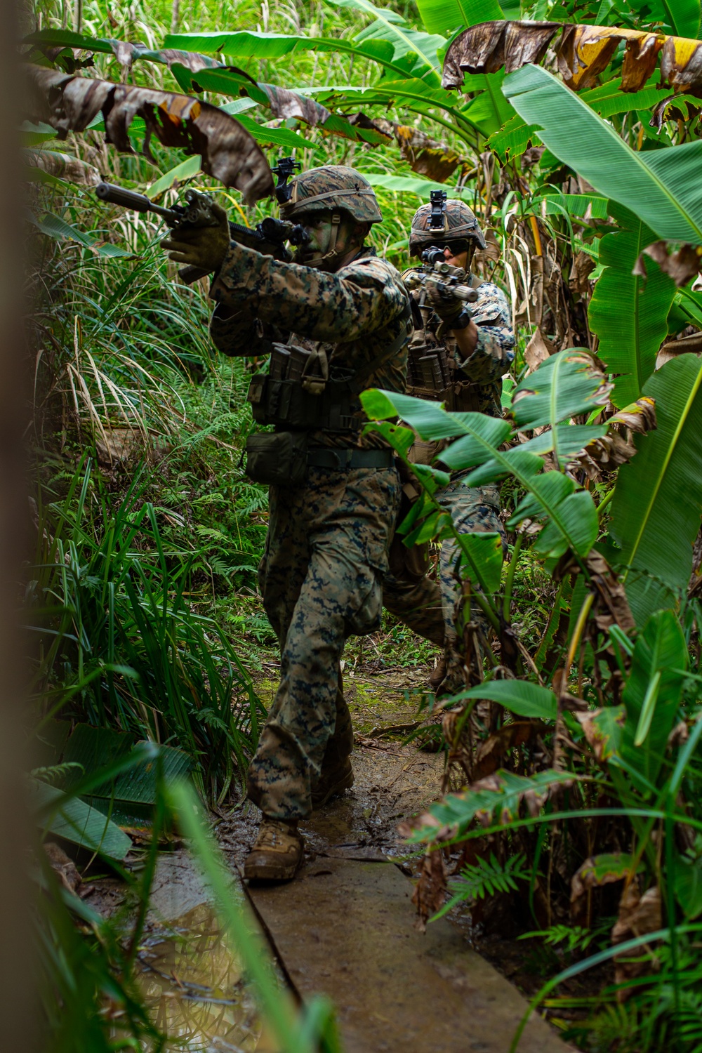 3d Marine Division Squad Competition Day 4