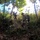 1st SFG (A) Green Berets, Thai partners ruck across Lopburi Province