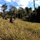 1st SFG (A) Green Berets, Thai partners ruck across Lopburi Province