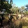 1st SFG (A) Green Berets, Thai partners ruck across Lopburi Province
