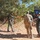 1st SFG (A) Green Berets, Thai partners ruck across Lopburi Province