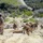 The Crucible: the final stepping stone in becoming a United States Marine