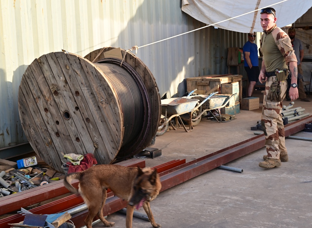 U.S. EOD, French K-9 train to enhance security and stability in Africa