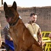 U.S. EOD, French K-9 train to enhance security and stability in Africa