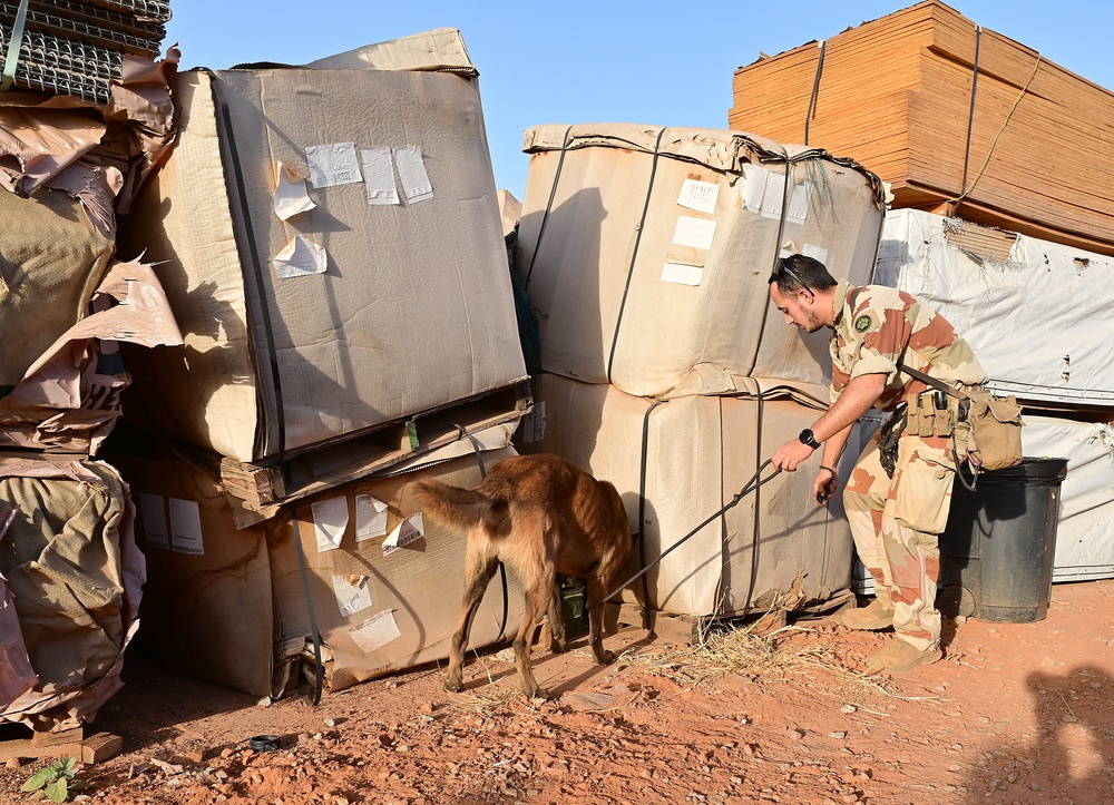 U.S. EOD, French K-9 train to enhance security and stability in Africa