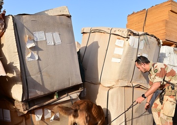 U.S. EOD, French K-9 train to enhance security and stability in Africa