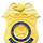 Army CID Badge