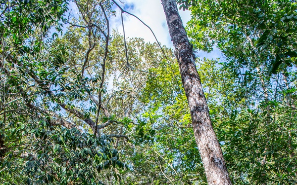 Exercise KBT – Belize