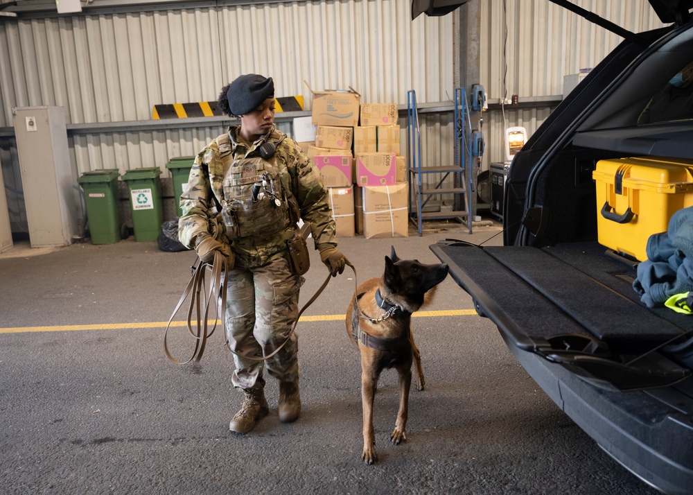 Partnership between a K9 Handler and MWD