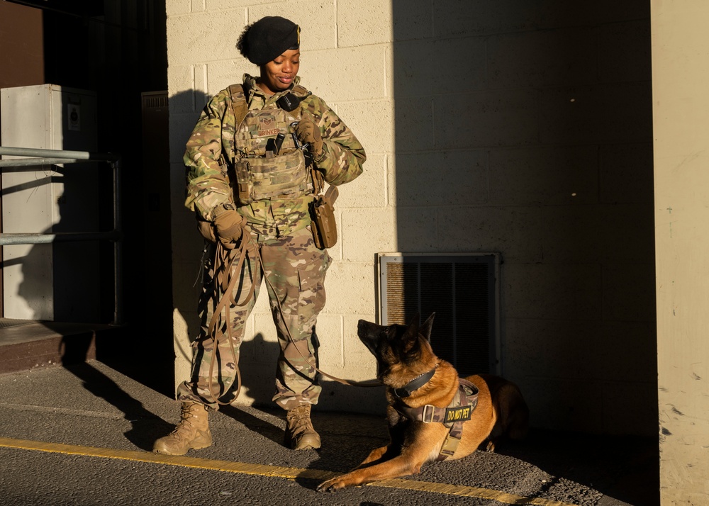 Partnership between a K9 Handler and MWD