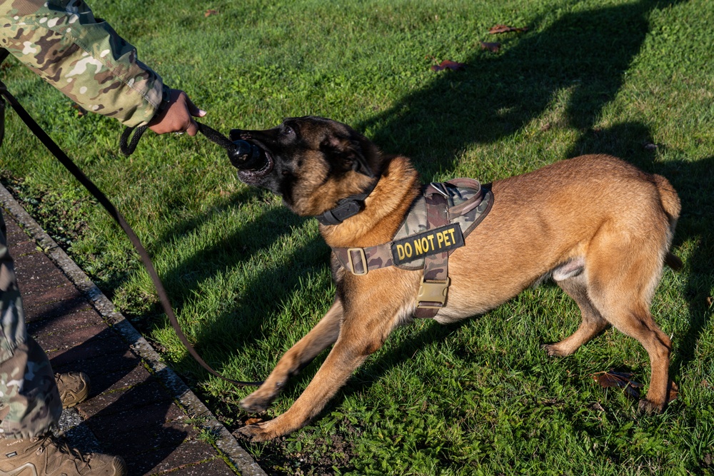 Partnership between a K9 Handler and MWD