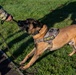 Partnership between a K9 Handler and MWD