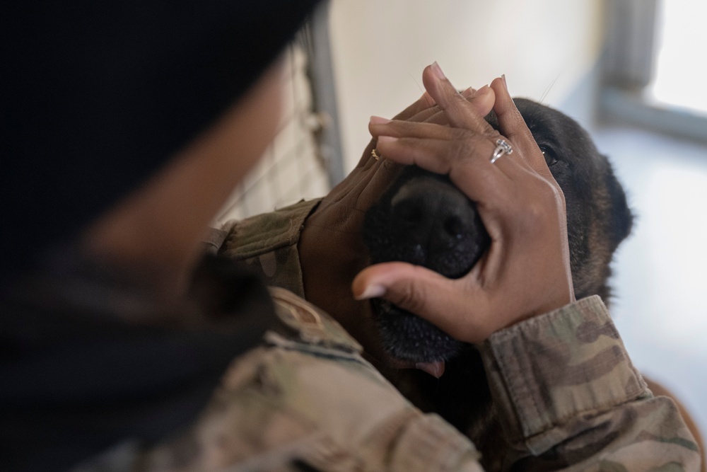 Partnership between a K9 Handler and MWD