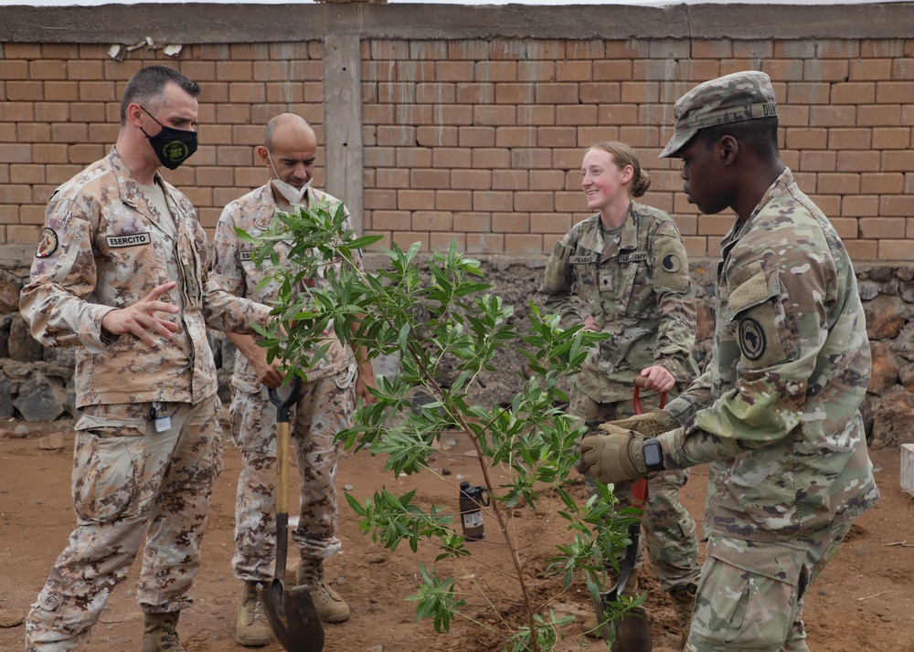 U.S., Italy, Djibouti plant &quot;peace trees&quot; in Damerjog