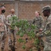 U.S., Italy, Djibouti plant &quot;peace trees&quot; in Damerjog