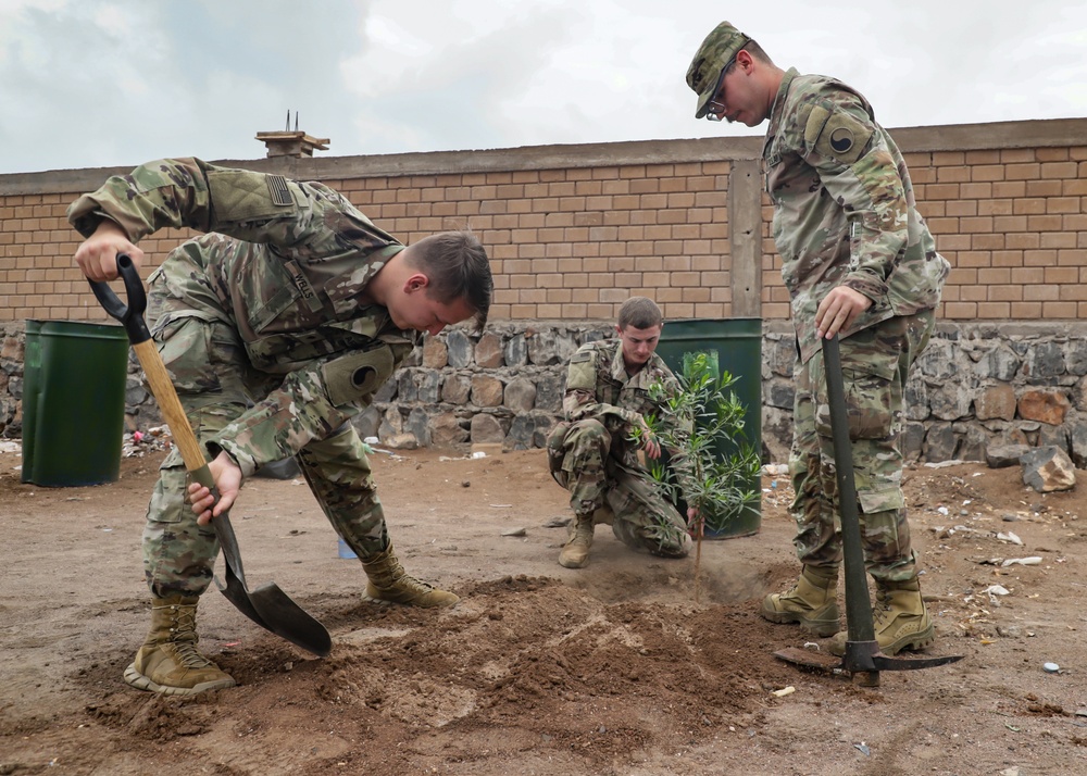 U.S., Italy, Djibouti plant &quot;peace trees&quot; in Damerjog